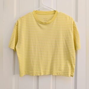 EUC Everlane Cropped Yellow Striped Tee